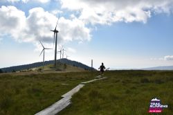 2024-08-24 KTRE 2024 -095557-DSC_0067